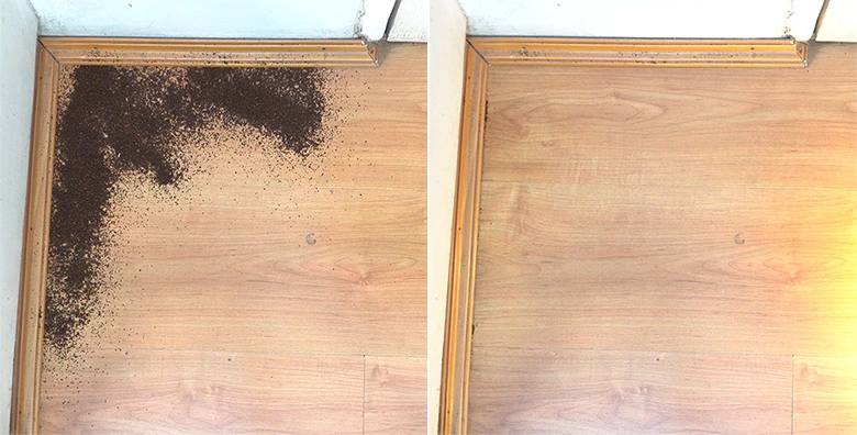 Bissell Air Ram 1984 Edge Cleaning
