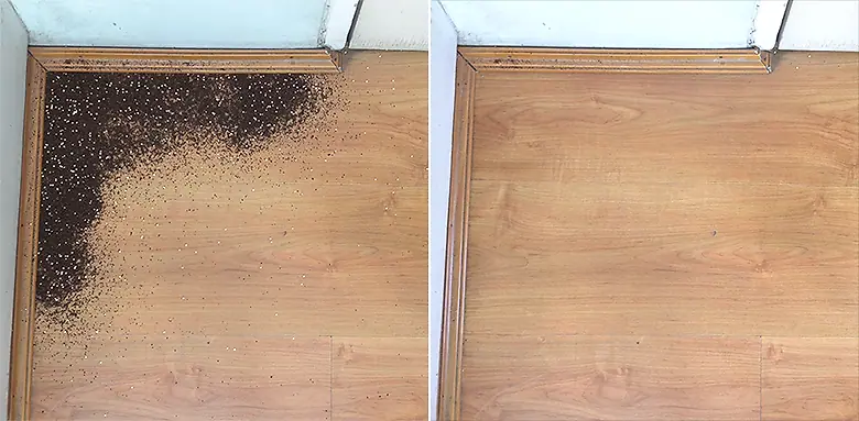 Bissell PowerGlide Edge Cleaning