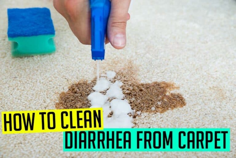 How to Clean Diarrhea from Carpet StepbyStep Guide and Tools
