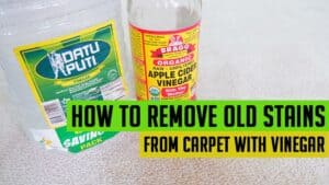 How to remove old stains from carpet with vinegar