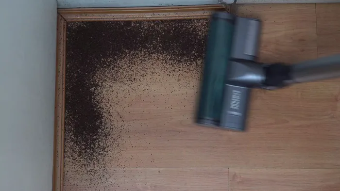 Samsung Jet 75 edge cleaning demo