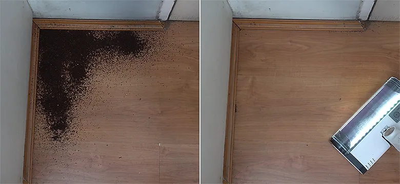 Shark Detect Pro Edge Cleaning